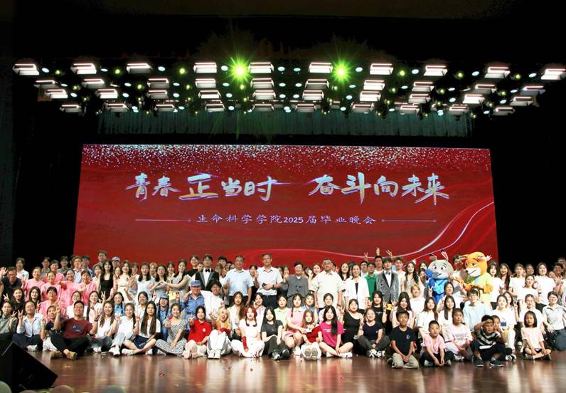 3b94d8df1fade11d2ba1752f540a150